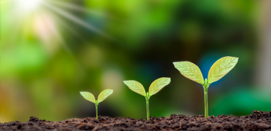 Sustainable Finance ESG