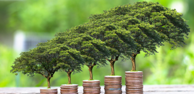 Sustainable Finance